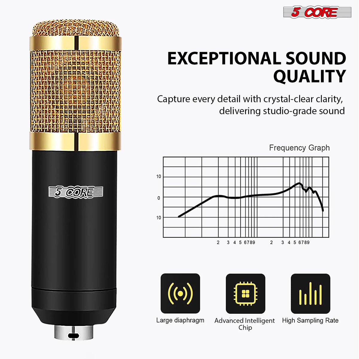 5 Core Recording Microphone Podcast Bundle Professional Condenser Cardioid Mic Kit w Boom Arm RM 8 BG