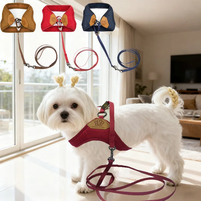 Pet Dog Walking Harness and Leash, Suitable for Puppies, Small to Medium Dogs, Ideal Choice for Training, Travel, and Daily Wear