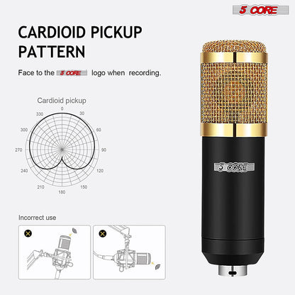 5 Core Recording Microphone Podcast Bundle Professional Condenser Cardioid Mic Kit w Boom Arm RM 8 BG