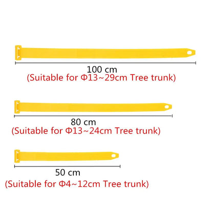 Practical Big Tree Growing Support Stake Bandage Landscape Tree Windproof Fixing Tripod Plastic Cups Greening Gardening Supplies