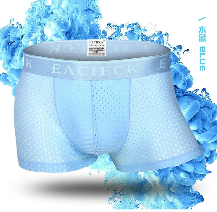 ANDERSON TALISCA Brand Silk Hollow New Mens Boxers Underwear Men Boxer Ropa Interio Man Penis Cueca Masculina Size M-3XL E248