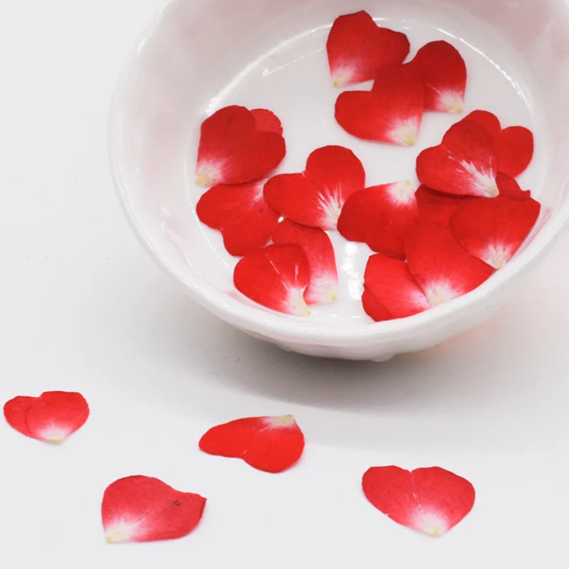 100pcs 1cm Heart Shape Pressed Dried Rose Flower Petals For Jewelry Bookmark Photo Frame Phone Case Postcard Making