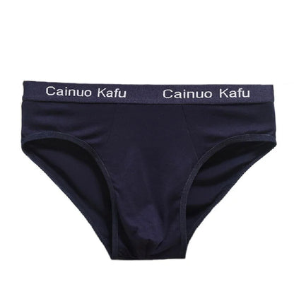 10Pcs/Lot  Fashion Men's Panties Underwear Men  Size Briefsr Bikini Pant Men Comfortable Sexy Slip Underpants Hot L-5XL