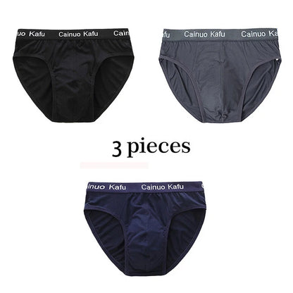 3Pcs/Lot Men's panties Silk  Men's Underwear New  Briefs Men Bamboo Fiber Mens Bodysuit Male Comfortable Solid Underpants