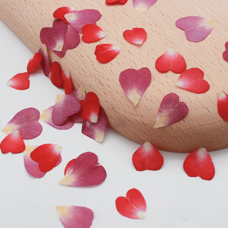 100pcs 1cm Heart Shape Pressed Dried Rose Flower Petals For Jewelry Bookmark Photo Frame Phone Case Postcard Making