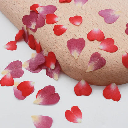 100pcs 1cm Heart Shape Pressed Dried Rose Flower Petals For Jewelry Bookmark Photo Frame Phone Case Postcard Making