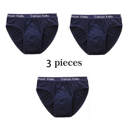3Pcs/Lot Men's panties Silk  Men's Underwear New  Briefs Men Bamboo Fiber Mens Bodysuit Male Comfortable Solid Underpants