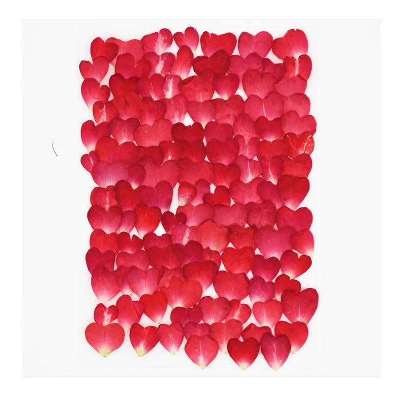 100pcs 1cm Heart Shape Pressed Dried Rose Flower Petals For Jewelry Bookmark Photo Frame Phone Case Postcard Making