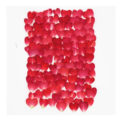 100pcs 1cm Heart Shape Pressed Dried Rose Flower Petals For Jewelry Bookmark Photo Frame Phone Case Postcard Making