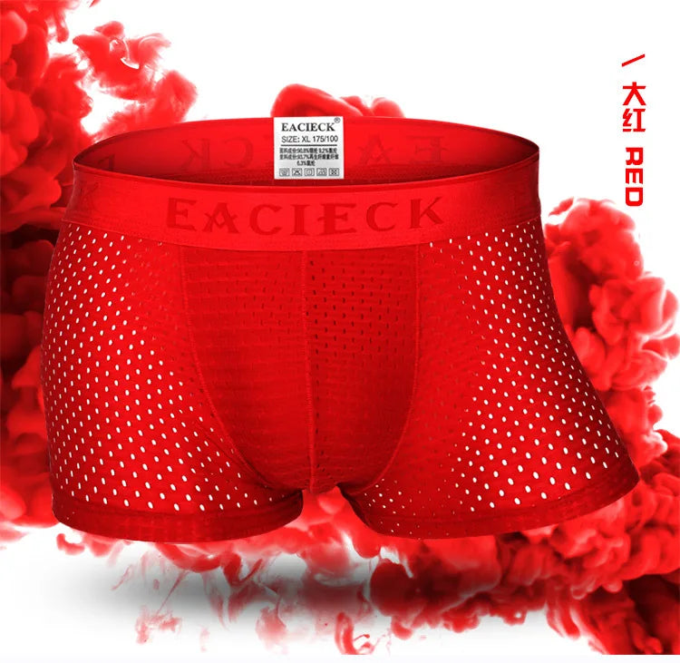 ANDERSON TALISCA Brand Silk Hollow New Mens Boxers Underwear Men Boxer Ropa Interio Man Penis Cueca Masculina Size M-3XL E248