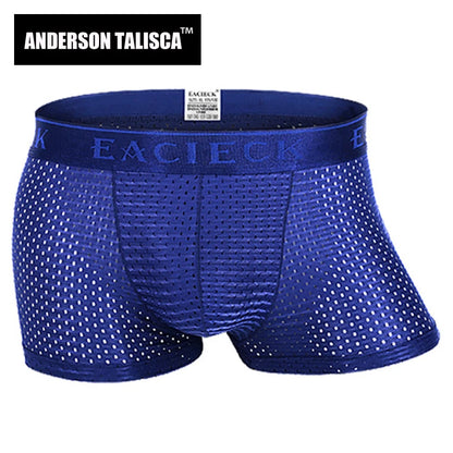 ANDERSON TALISCA Brand Silk Hollow New Mens Boxers Underwear Men Boxer Ropa Interio Man Penis Cueca Masculina Size M-3XL E248