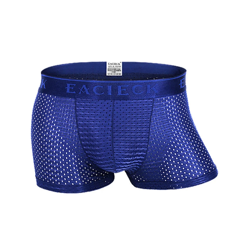 ANDERSON TALISCA Brand Silk Hollow New Mens Boxers Underwear Men Boxer Ropa Interio Man Penis Cueca Masculina Size M-3XL E248