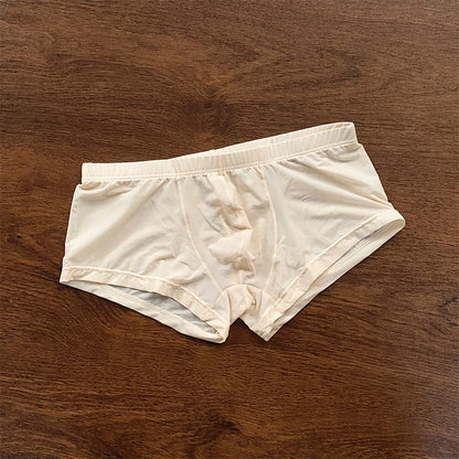 Man Underwear Men's Ice Silk Boxer Shorts Cool Underpants Summer Sexy Thin Panties U Pouch Lingerie Wholesale Price M-XXL