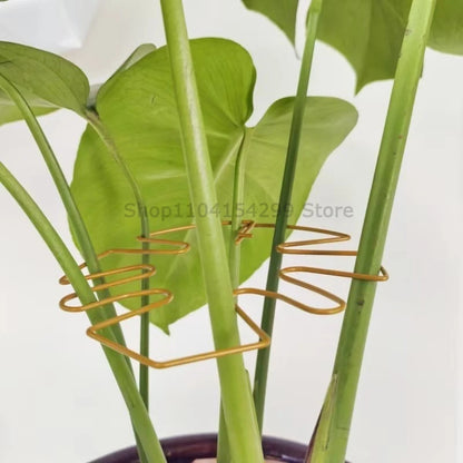 Large Monstera Plant Support Frame Sturdy Climbing Stems Leaf Stabilizer for Tall Houseplant Hanging Plant Stand Plants Holder