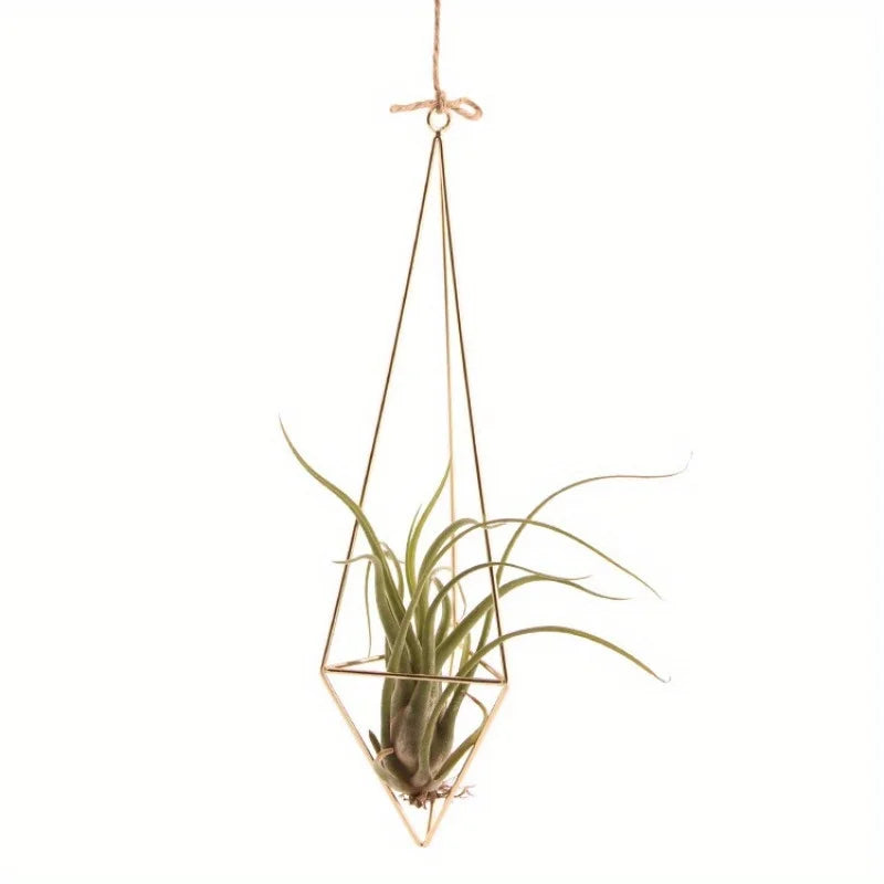4 Air Plant Stands, Hanging Metal Geometric Stands, Plant Garden Stands, Suitable for Indoor Decoration, Holiday Displays