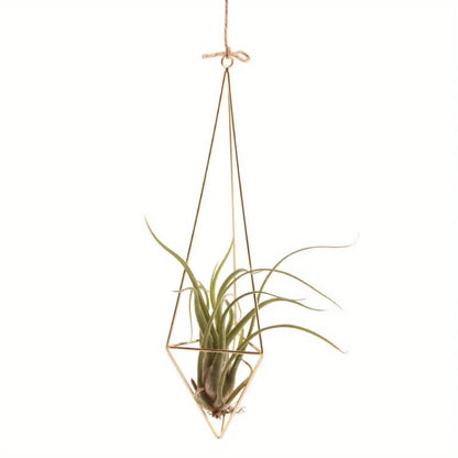 4 Air Plant Stands, Hanging Metal Geometric Stands, Plant Garden Stands, Suitable for Indoor Decoration, Holiday Displays