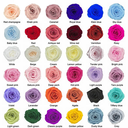 12-13PCS Peserved Roses in Heart Shape Box 100% Natural Long Last Real Eternal Real Rose Mothers Valentines Day Gifts Home Decor