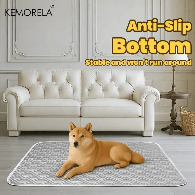 2PCS Washable Reusable Cat and Dog Urine Pads, Training Pads for
