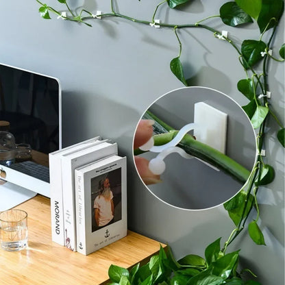 10/30/50pcs Home Garden Plant Climbing Wall Fixture Clips Rattan Vine Fixer Self-Adhesive Plant Climbing Wall Fixed Buckle Hook