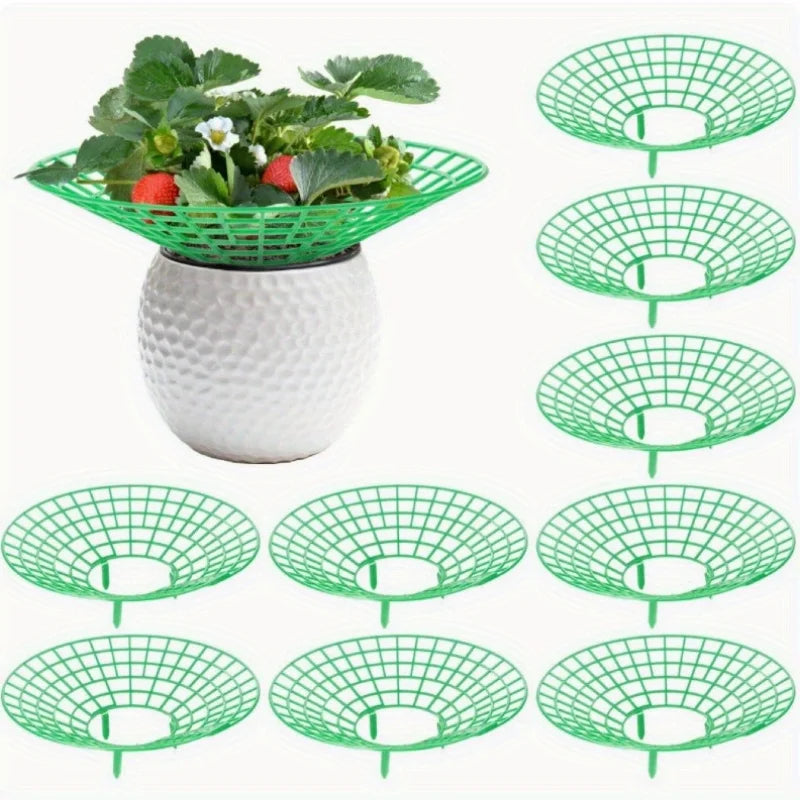 5/10/20pcs Strawberry Plant Supports with Three Sturdy Legs Provide Protection for Strawberries Against Mold, Rot, and Dirt