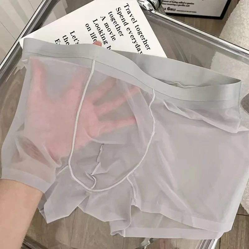 N2025 Ultra Thin Ice Silk Boxers Underwear Men Semi-transparent Seamless Sexy Male Trunk Shorts Plus Size M-XXL