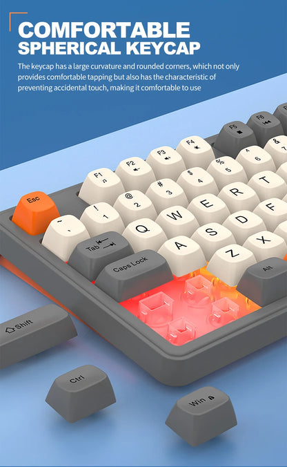 Wired Keyboard and Mouse Set，19-Key Rollover，Office/Gaming Compatible with Desktops and Laptops
