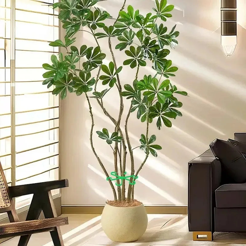 Flower Plant Stem Support Stakes Climbing Houseplant Stand Frame Plastic Garden No Stake Trellis Indoor Plant Holder Rack Hoops
