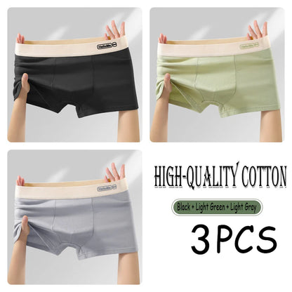 2/3PCS Cotton Men's Underwear Simple Fashion Comfortable Breathable Multi-Color Underwear Combination Sports Stretch Underwear
