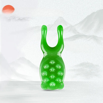 Resin Face Lifting Guasha Scraping Massage Facial Tools Massage Plate Reduce Puffiness Nose Lifting Nose Massager