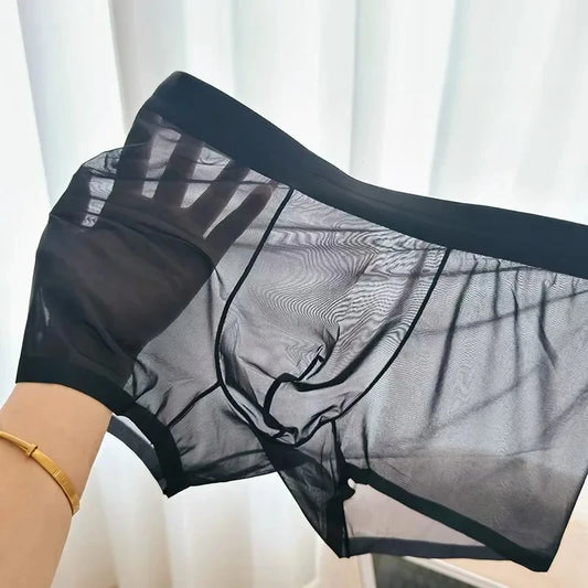 N2025 Ultra Thin Ice Silk Boxers Underwear Men Semi-transparent Seamless Sexy Male Trunk Shorts Plus Size M-XXL