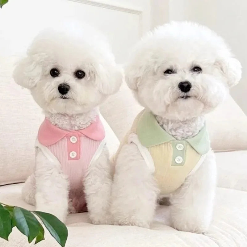Small Dog Shirt | Spring & Summer Pet Apparel | Casual Wear for Small Dogs