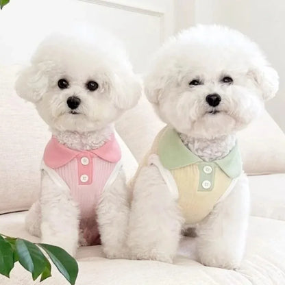 Small Dog Shirt | Spring & Summer Pet Apparel | Casual Wear for Small Dogs