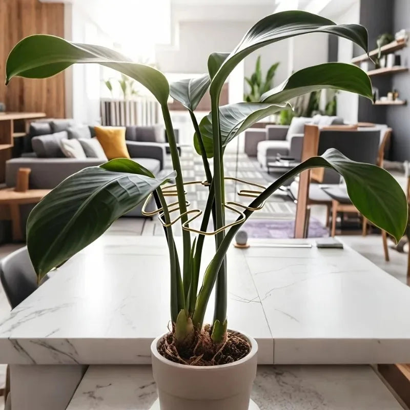 1Pc Large Monstera Plant Support Frame Sturdy Climbing Stems Leaf Stabilizer Outdoor Use for Tall Houseplant Hanging Plant Stand