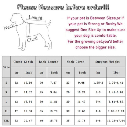 Summer Clothes for Dog and Cat, Striped T-Shirt, Cute Clothes for Puppy, Chihuahua, Bichon, French Bulldog, Girl