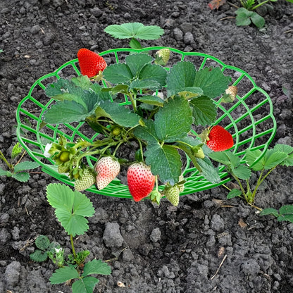 12Pcs Green Strawberry Planting Rack, 3 Sturdy Legs Stand Planter Pot Holder, Anti-Rot Fruit Support for Garden