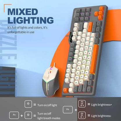 Wired Keyboard and Mouse Set，19-Key Rollover，Office/Gaming Compatible with Desktops and Laptops