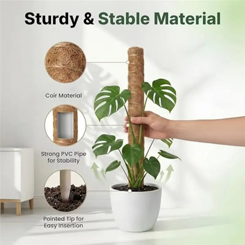 MOPHE-4-Piece Plant Stand Set - Plant Stumps For Indoor Climbing Plants - Coconut Shell Stumps And Rooftop, And Filodendrace
