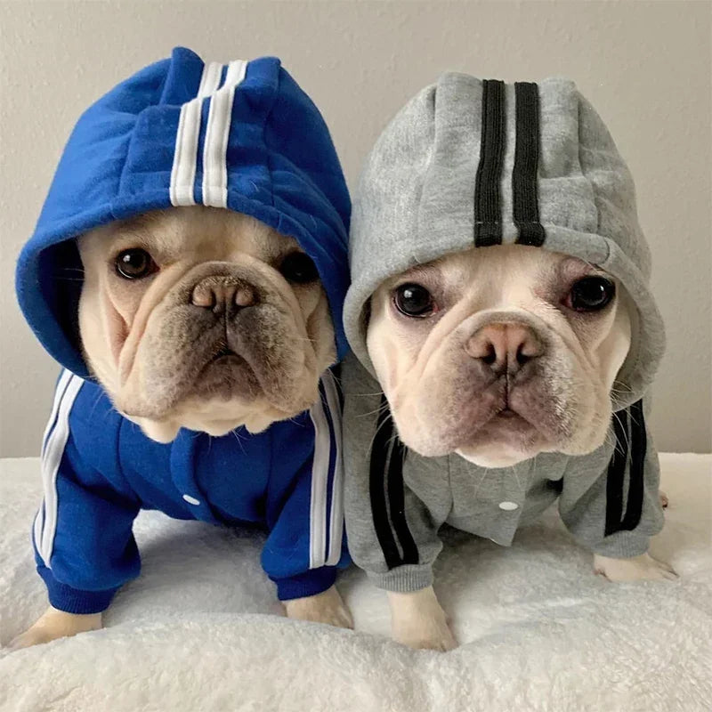 Warm Dog Jumpsuit Hoodie | Sport Sweatshirt Coat for Yorkie & French Bulldog | Small to Medium Pet Jacket
