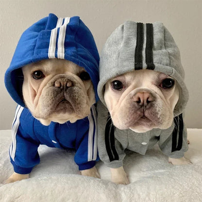 Warm Dog Jumpsuit Hoodie | Sport Sweatshirt Coat for Yorkie & French Bulldog | Small to Medium Pet Jacket