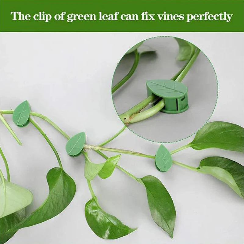 20pcs Plant Climbing Wall Fixture Rattan plants growth climb traceless vine fixing tool Self-Adhesive Green Clip Traction Holder