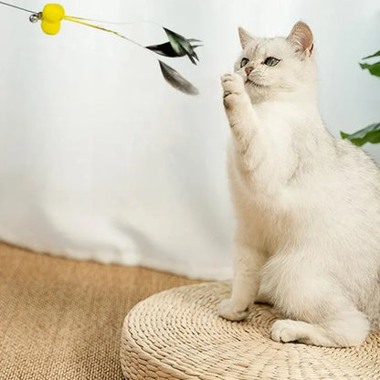 Cat Toy Spring Cat Toys Interactive Steel Wire Feather Toys for Cats Teaser Funny Feather Cats Toy Stick Plush Ball Pet Supplies