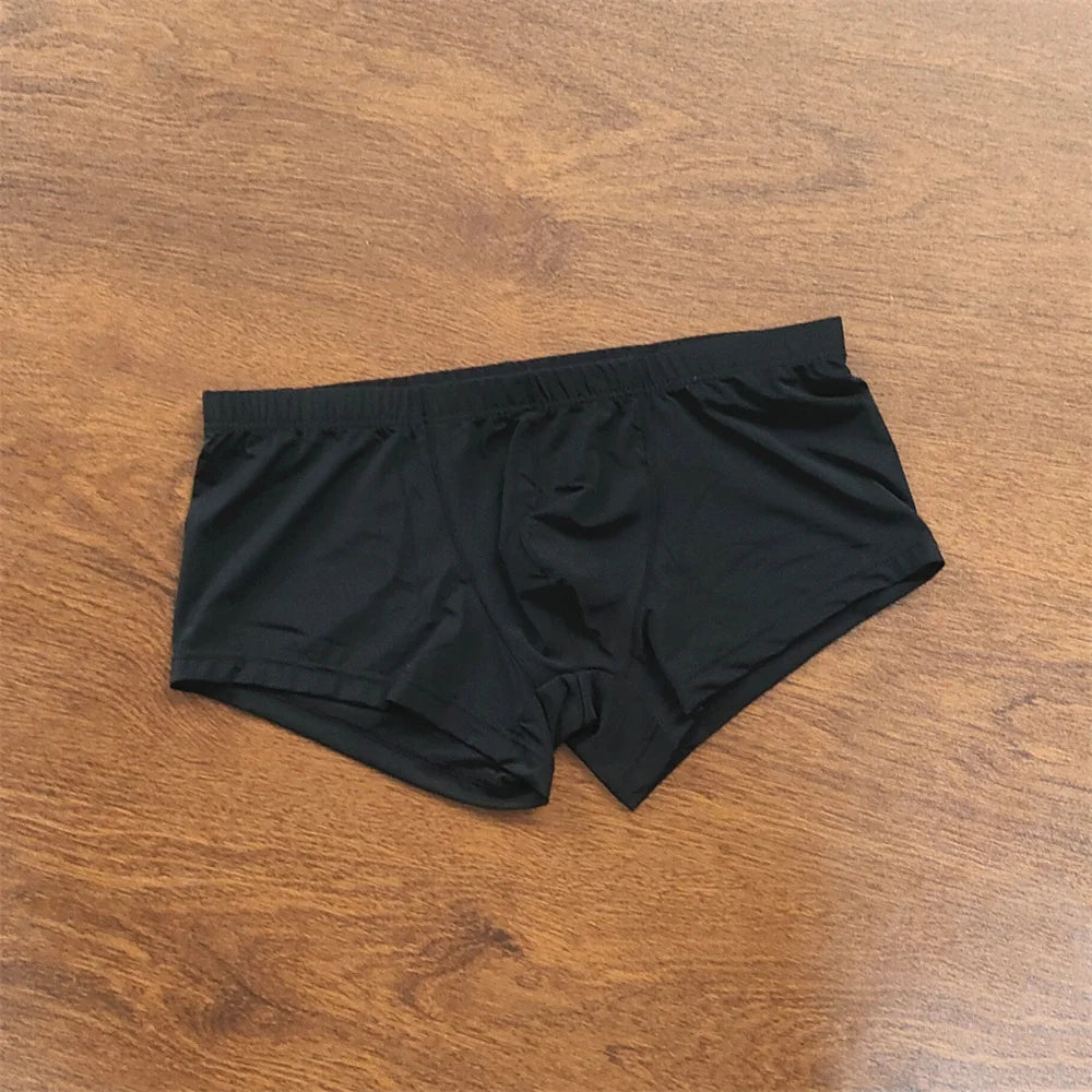 Man Underwear Men's Ice Silk Boxer Shorts Cool Underpants Summer Sexy Thin Panties U Pouch Lingerie Wholesale Price M-XXL