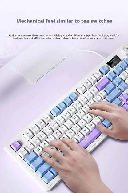 Wired Mechanical Feel Keyboard Mouse Set RGB Glow Low Noise Ultra Thin Gaming Combo Fashion High Value Computer Office Kit