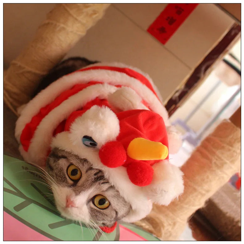 Red Pet Festival Cape | Polyester Costume | Small Dogs & Cats