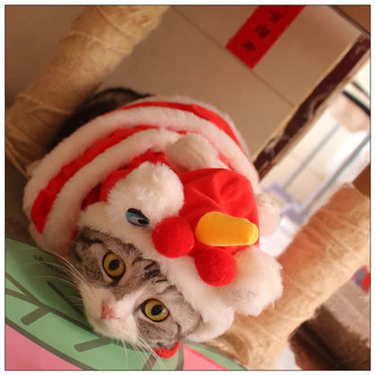 Red Pet Festival Cape | Polyester Costume | Small Dogs & Cats