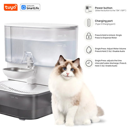3L Timed Water Dispenser for Cats & Small Dogs, Automatic Pet Fountain, Wastewater Separation Fresh Water, No Filter No Tuya APP