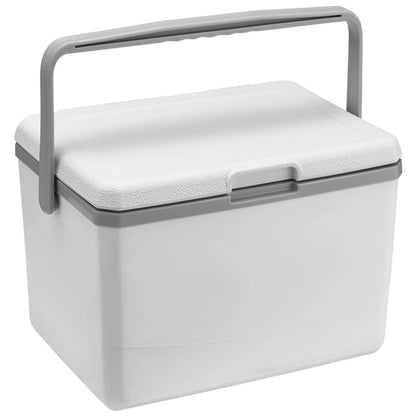 Portable Refrigerator 5L Mini Fridge Car Cooler with Handle Insulated Camping Freezer Compact Outdoor Storage Box for Road Trip