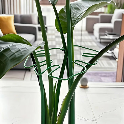 1Pc Large Monstera Plant Support Frame Sturdy Climbing Stems Leaf Stabilizer Outdoor Use for Tall Houseplant Hanging Plant Stand