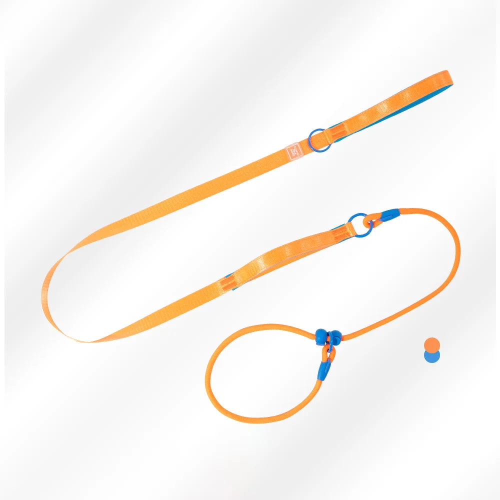 Double Handle Pet Dog Training Round Rope Light Weight Nylon P Chain Adjustable for Small Medium Dogs Walking Leash Pet Supplies