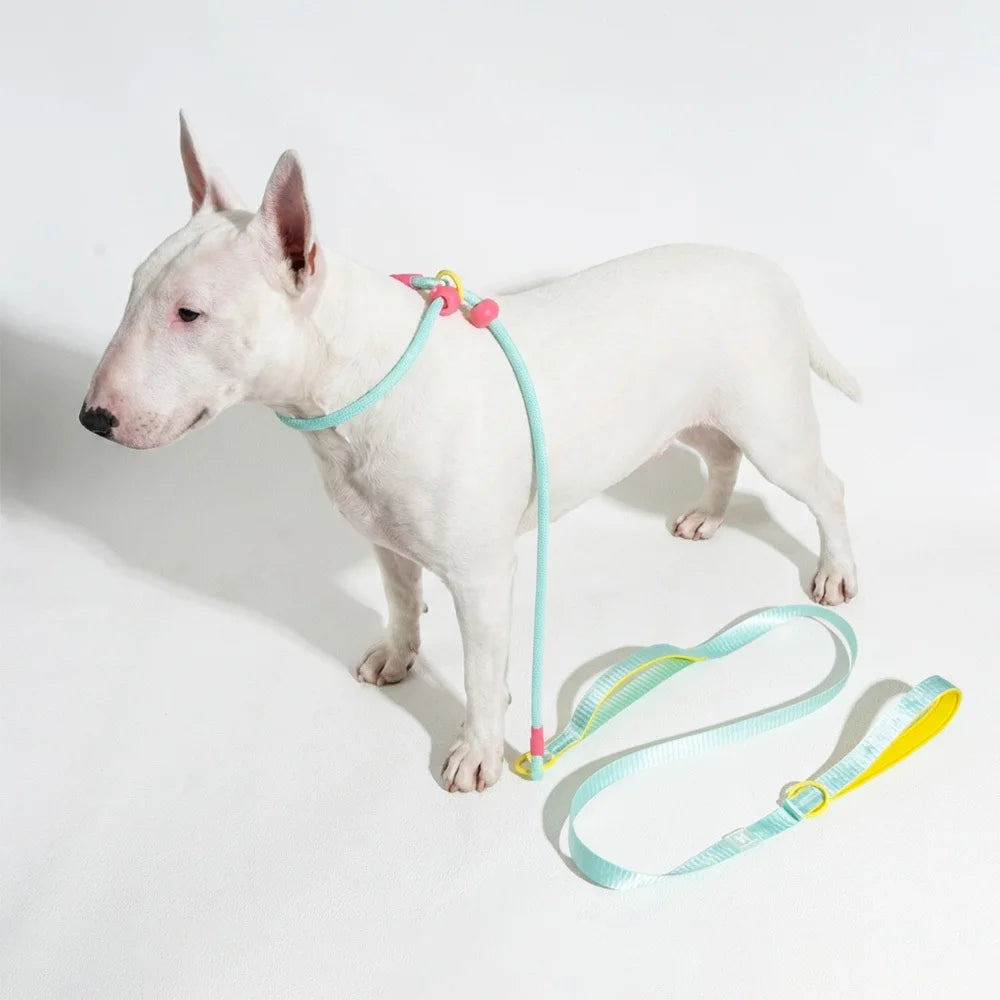 Double Handle Pet Dog Training Round Rope Light Weight Nylon P Chain Adjustable for Small Medium Dogs Walking Leash Pet Supplies